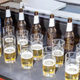 Illustration for article titled Scientific Reasons to Respect Light Beer
